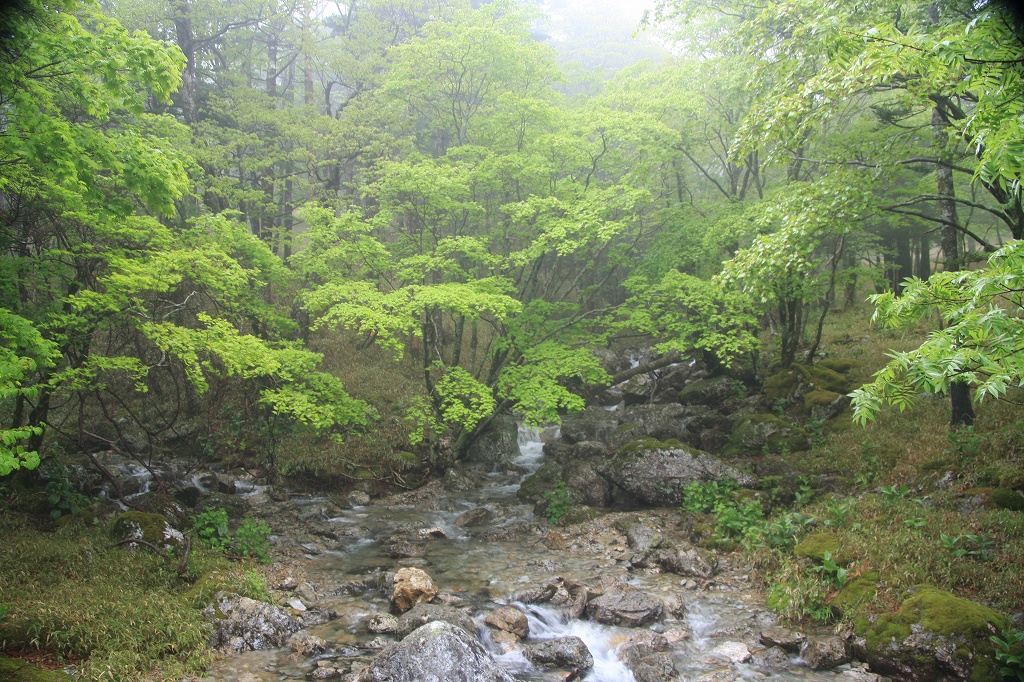 e0024081_23331362.jpg