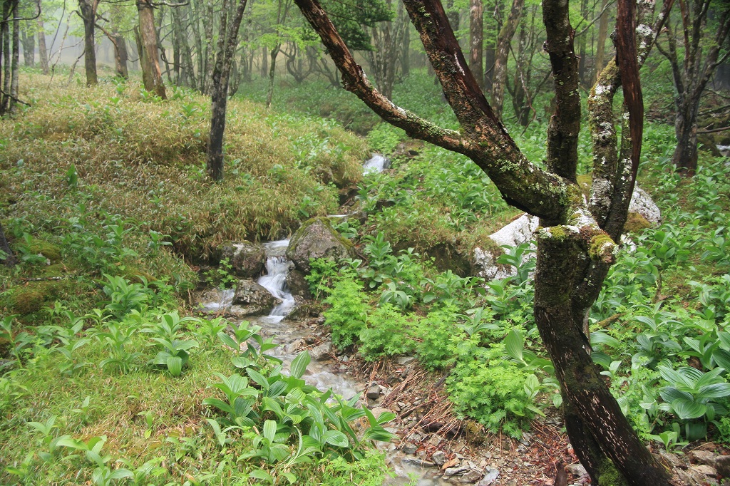e0024081_2333164.jpg