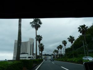 2009年5月30日 今日も小トリップ_b0098584_1815781.jpg