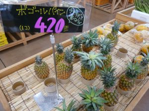 2009年5月30日 今日も小トリップ_b0098584_18163488.jpg