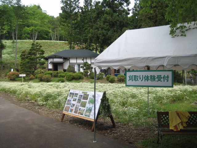 c0099395_9401489.jpg
