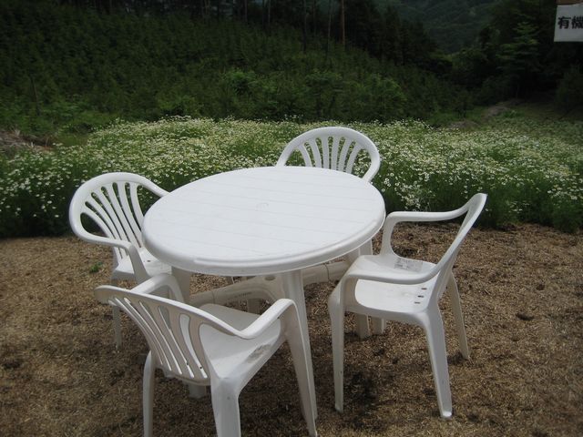 c0099395_9402029.jpg