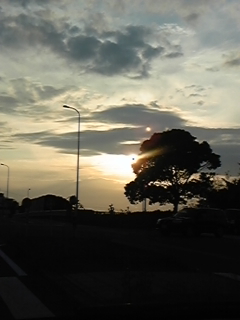 f0017897_20114427.jpg