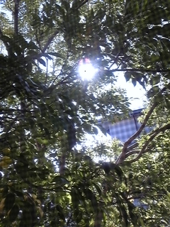 f0017897_2012716.jpg