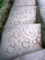 c0053898_12322364.jpg