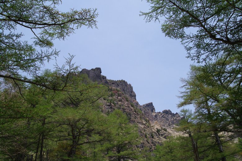 d0143700_20175384.jpg