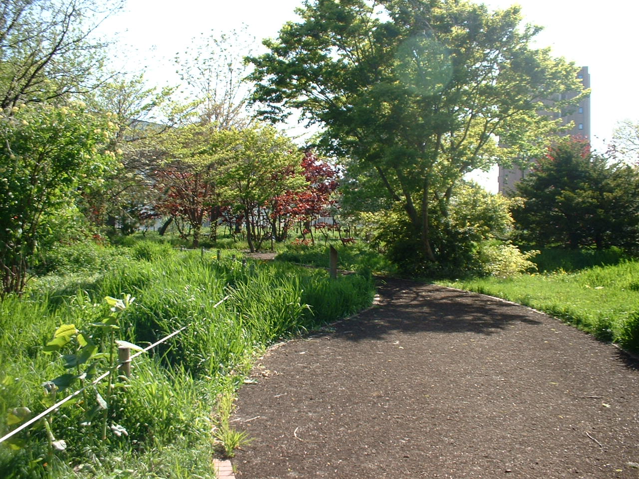 f0162101_12214420.jpg