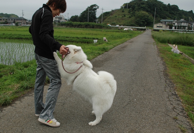 来福と一緒～♪　　5月30日　[土]_e0018604_14273850.jpg