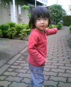 e0061304_1393725.jpg