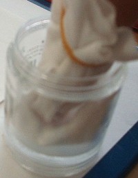 f0138505_7202135.jpg