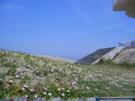 c0110906_23441544.jpg