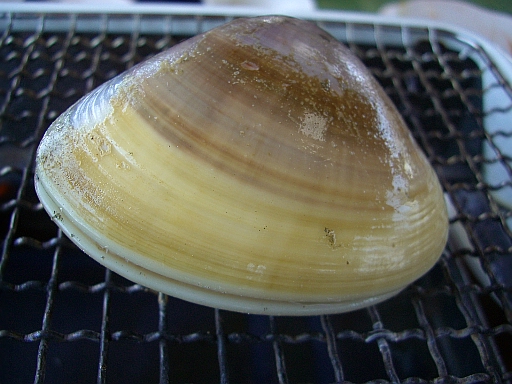 c0110906_2345939.jpg