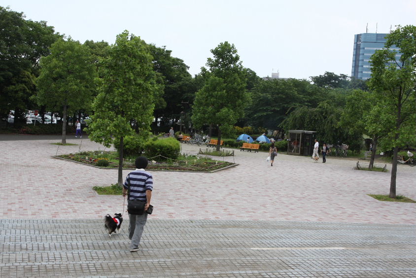 e0130008_1851314.jpg