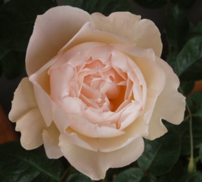 c0147909_22414758.jpg