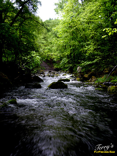 e0009009_2095523.jpg