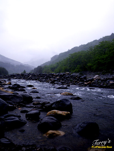 e0009009_209674.jpg