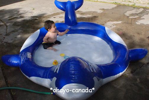 e0090610_713458.jpg