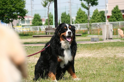 f0191413_1081140.jpg