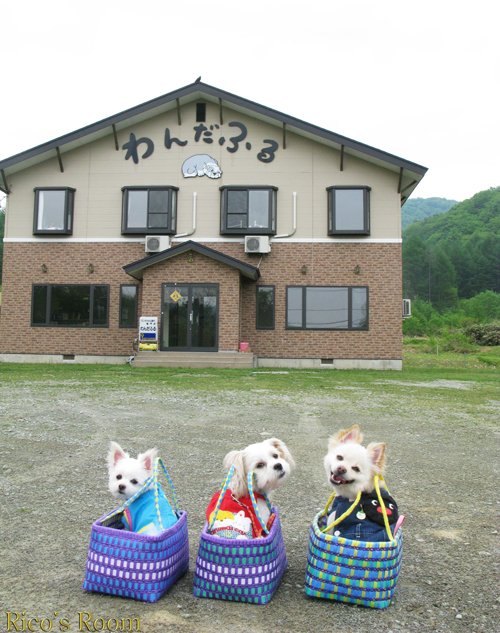 福島県・裏磐梯『わんだふる』＆南会津『大内宿』、山形県・米沢『上杉神社』の巻♪_f0078014_1303298.jpg