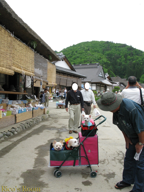 福島県・裏磐梯『わんだふる』＆南会津『大内宿』、山形県・米沢『上杉神社』の巻♪_f0078014_14295169.jpg