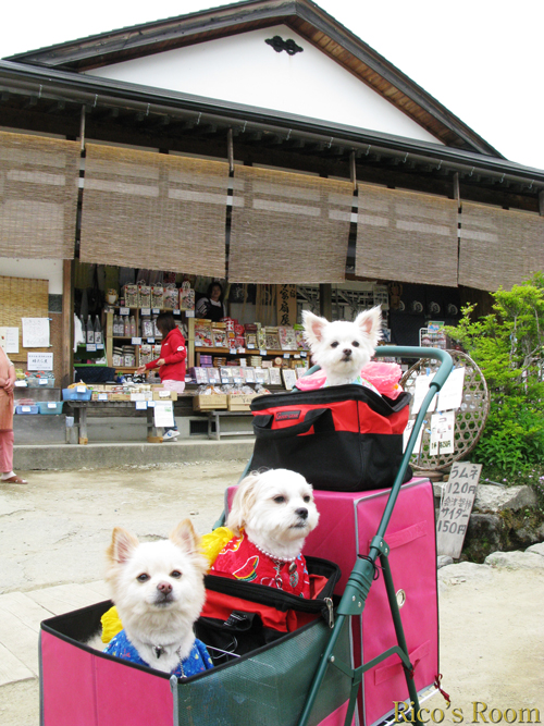 福島県・裏磐梯『わんだふる』＆南会津『大内宿』、山形県・米沢『上杉神社』の巻♪_f0078014_156214.jpg