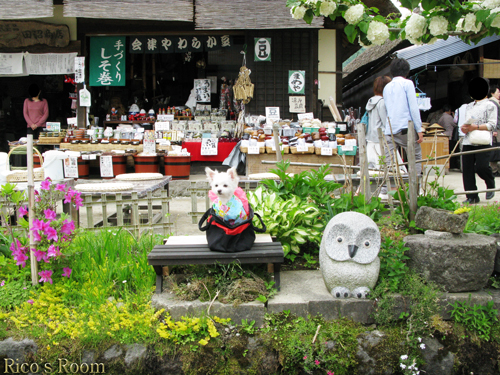 福島県・裏磐梯『わんだふる』＆南会津『大内宿』、山形県・米沢『上杉神社』の巻♪_f0078014_156475.jpg