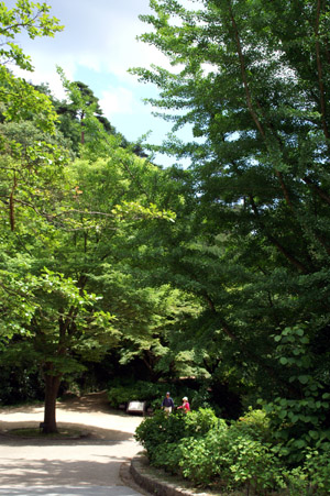 e0083517_34242.jpg