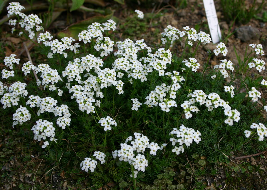 d0143719_1319146.jpg