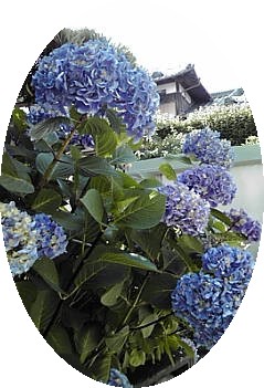 a0098027_16522079.jpg