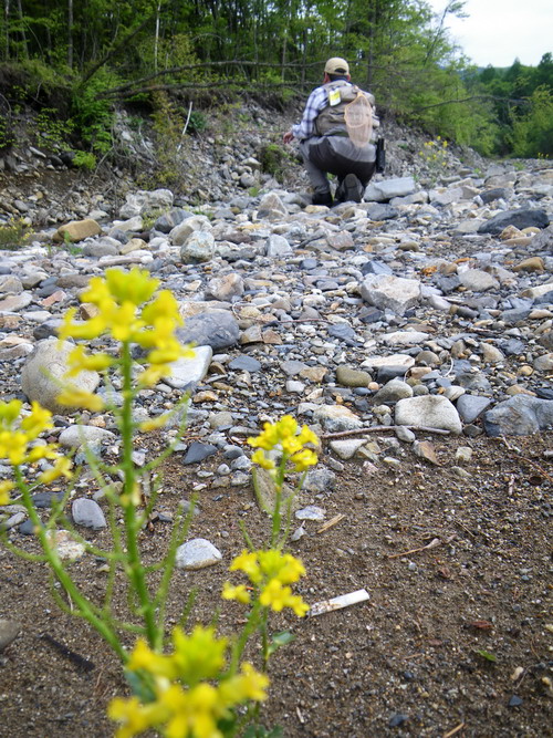 c0090530_2063147.jpg