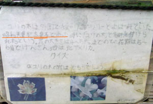 a0117039_210245.jpg