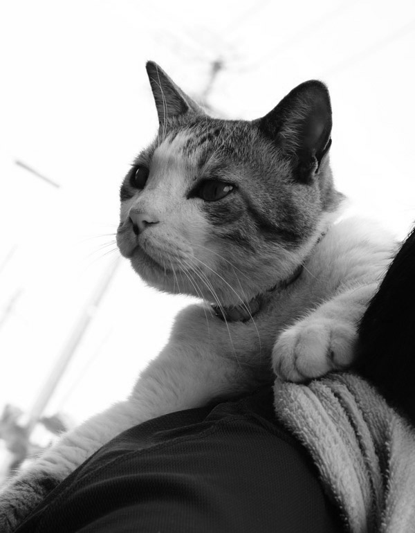monochrome conversions atn_b0060239_2222983.jpg