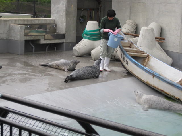 春の北海道旅行　旭山動物園その１_c0117239_225135100.jpg