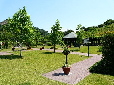 f0148244_17432849.jpg