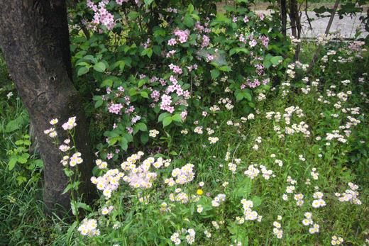 c0093046_15361058.gif