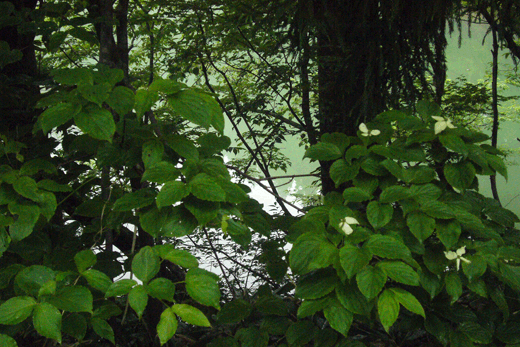 c0093046_15363171.gif