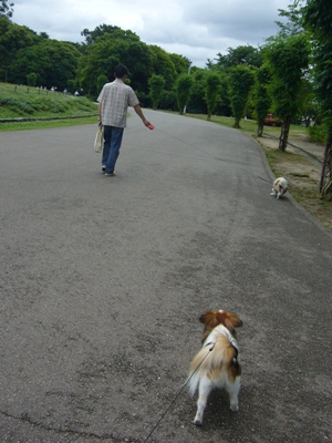 e0100046_162532100.jpg