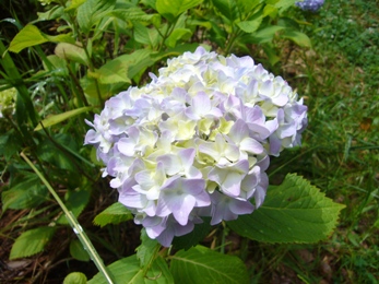 e0100046_1628183.jpg
