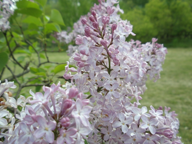 b0083048_21551177.jpg