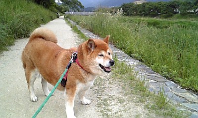痩せた母と寂しげな娘_c0049950_21533293.jpg