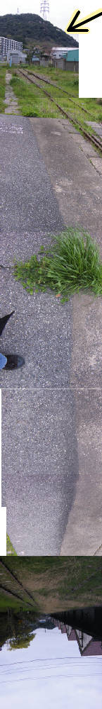 e0033751_23371969.jpg
