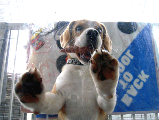 b0005652_19101712.gif