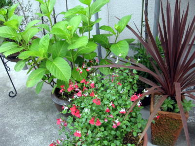 c0147952_9245040.jpg