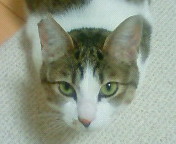 c0052756_05517.jpg