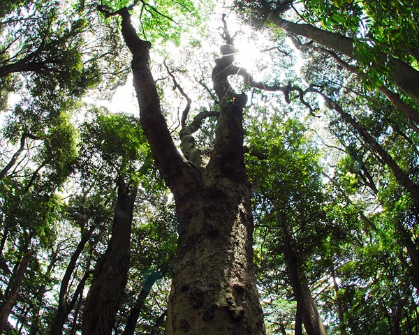 e0035757_1039245.jpg