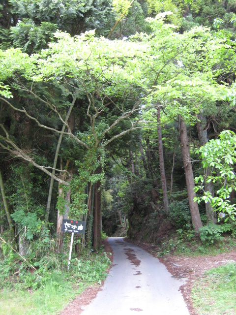 e0121558_18497.jpg