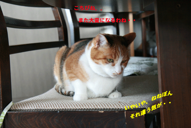 e0158561_21393987.gif