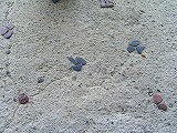 b0120564_15422856.jpg