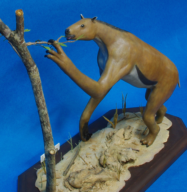 カリコテリウム Chalicotherium Japaneseclass Jp