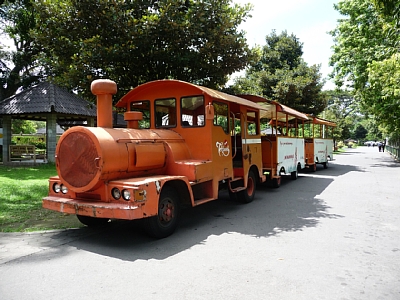 d0044965_07383.jpg
